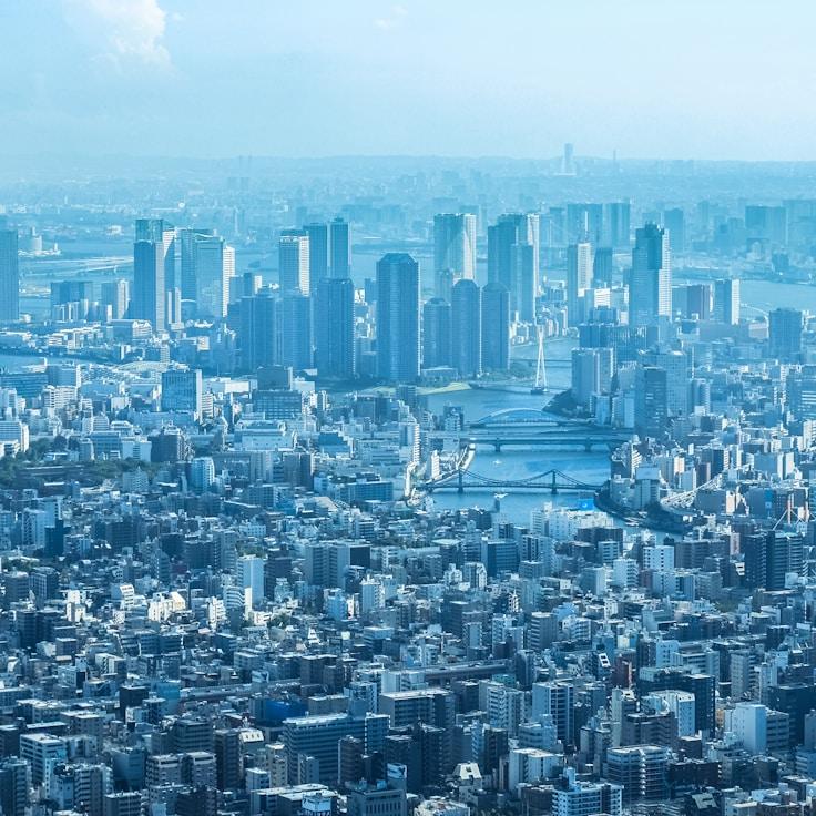 Avery Wilson - Expat family life guide in United States